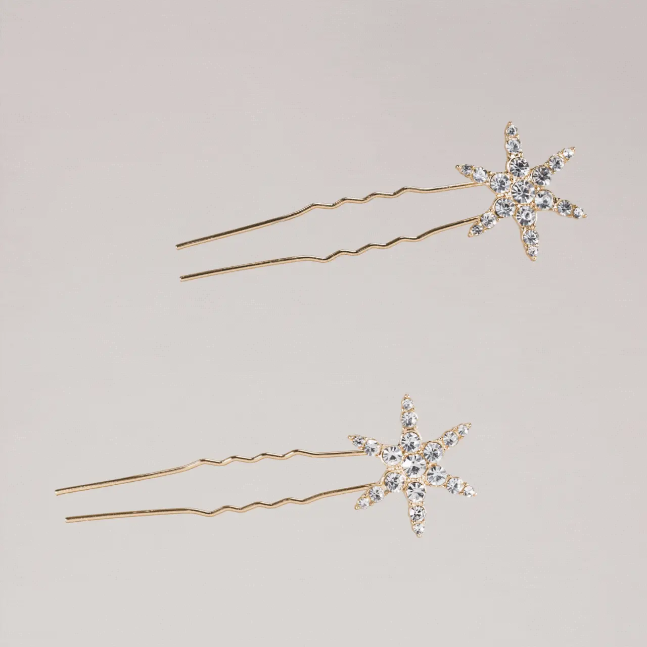 Horquilla Estrella de Mar