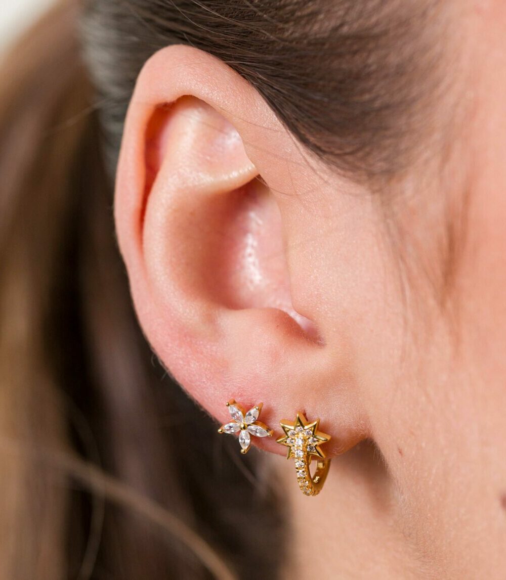 Alternative view of Piercing Ilia