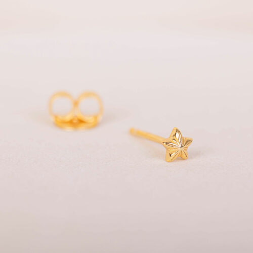 Mini Pendiente Estrella Enana