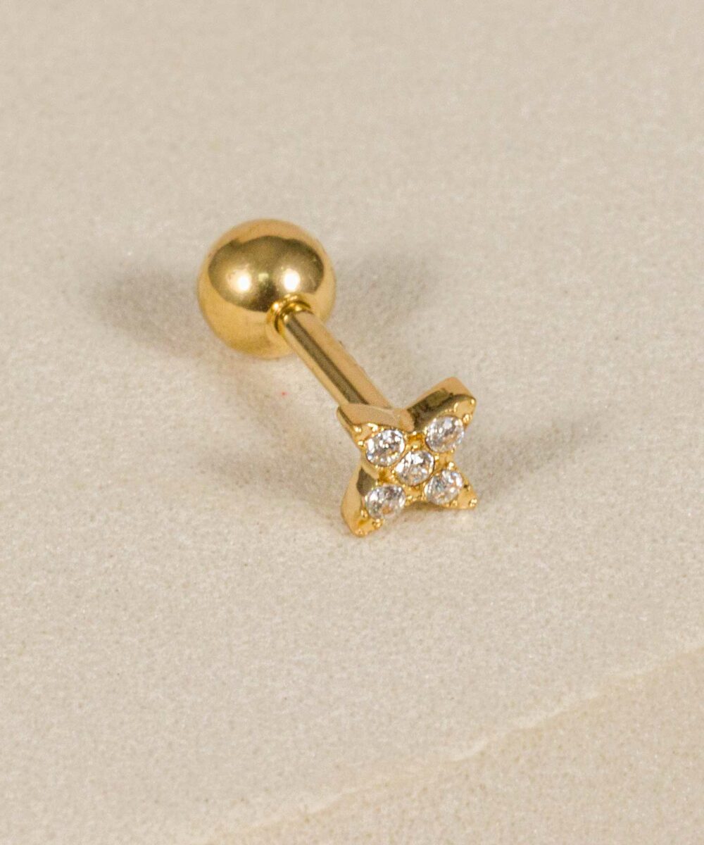 Piercing plano Ártico