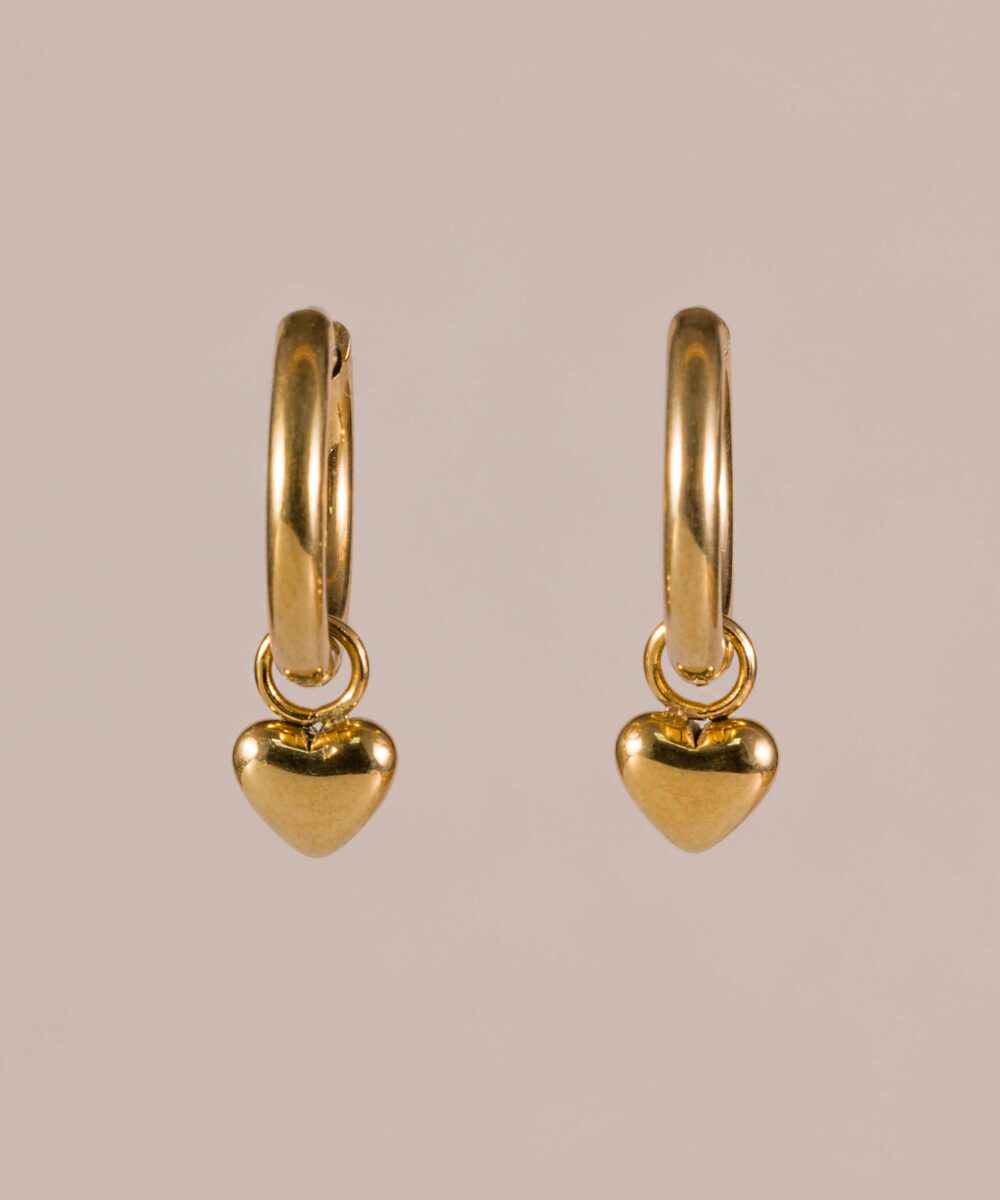 Haz una declaración de amor y estilo con nuestros nuevos pendientes de aro. ¡Atrévete a brillar con los Pendientes Aro Corazones de Darwin Collection!