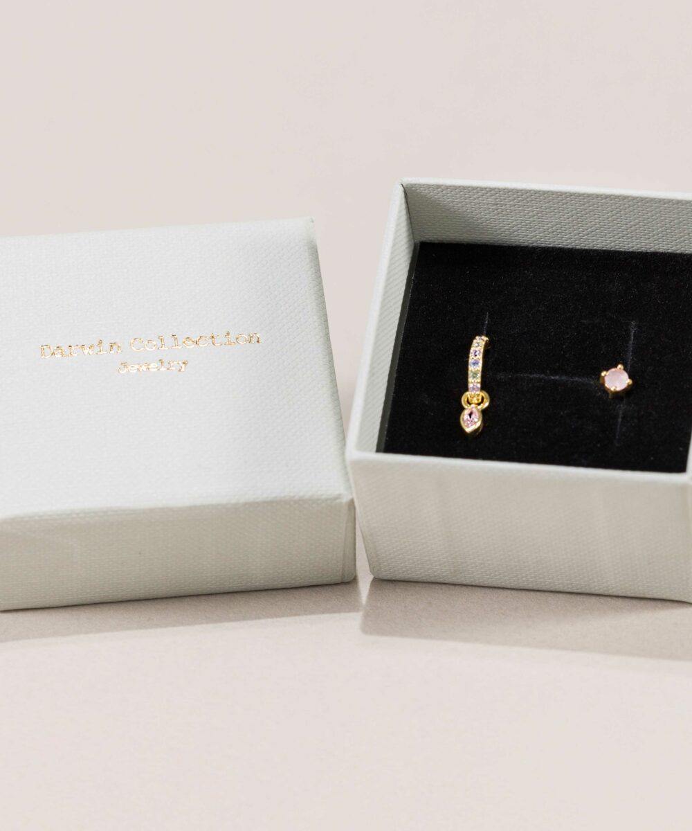 El Mini Pendiente Catalina es una joyita minimalista que no puede faltar en tu colección. Está fabricado en plata de ley 925 y baño de oro de 18 quilates.