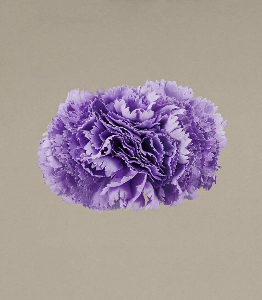 Ramillete Claveles Lavanda