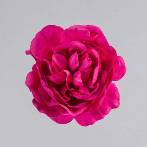 Flor flamenca camelia niña fucsia