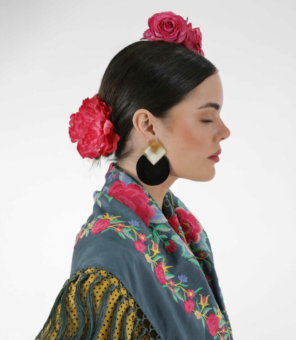 Alternative view of Pendientes Aurora