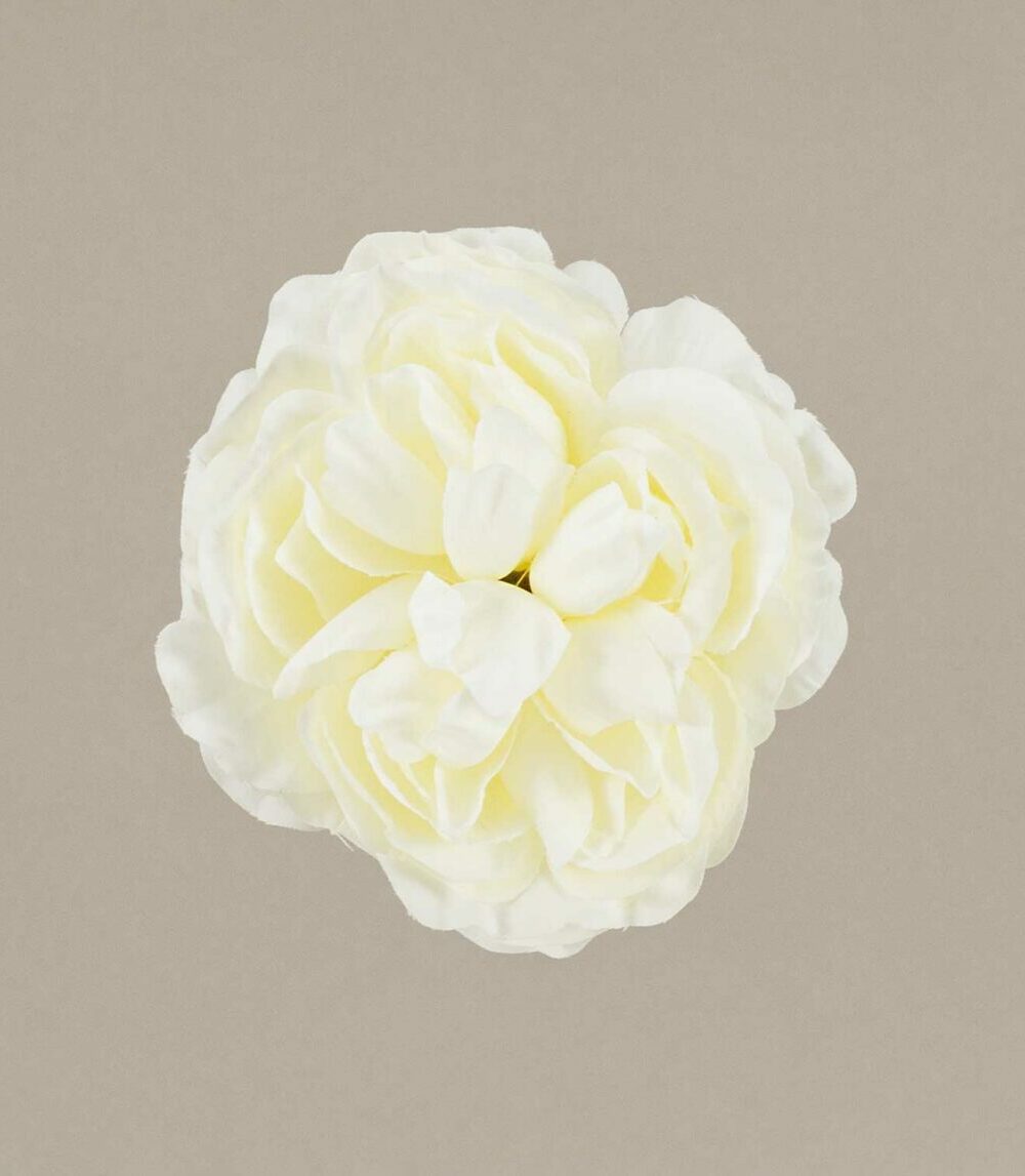 Flor Flamenca camelia niña blanca