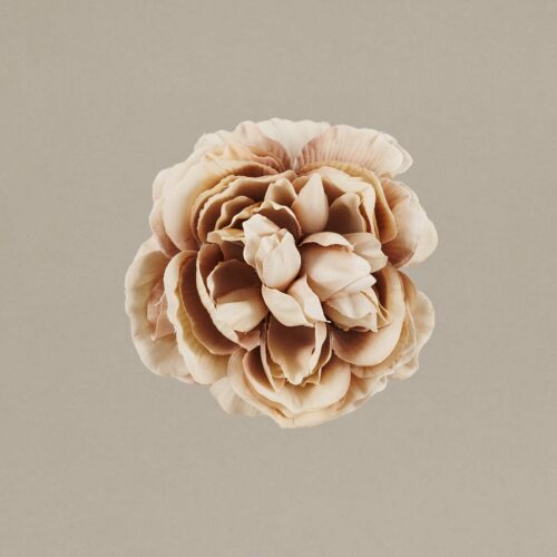 Flor flamenca camelia niña maquillaje