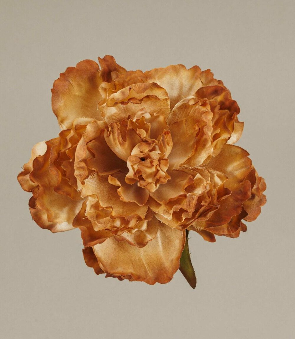 Flor Flamenca Peonía Coffee