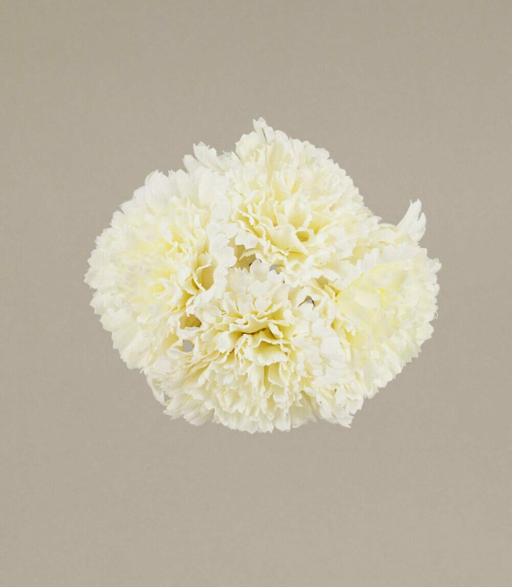 Ramillete claveles beige