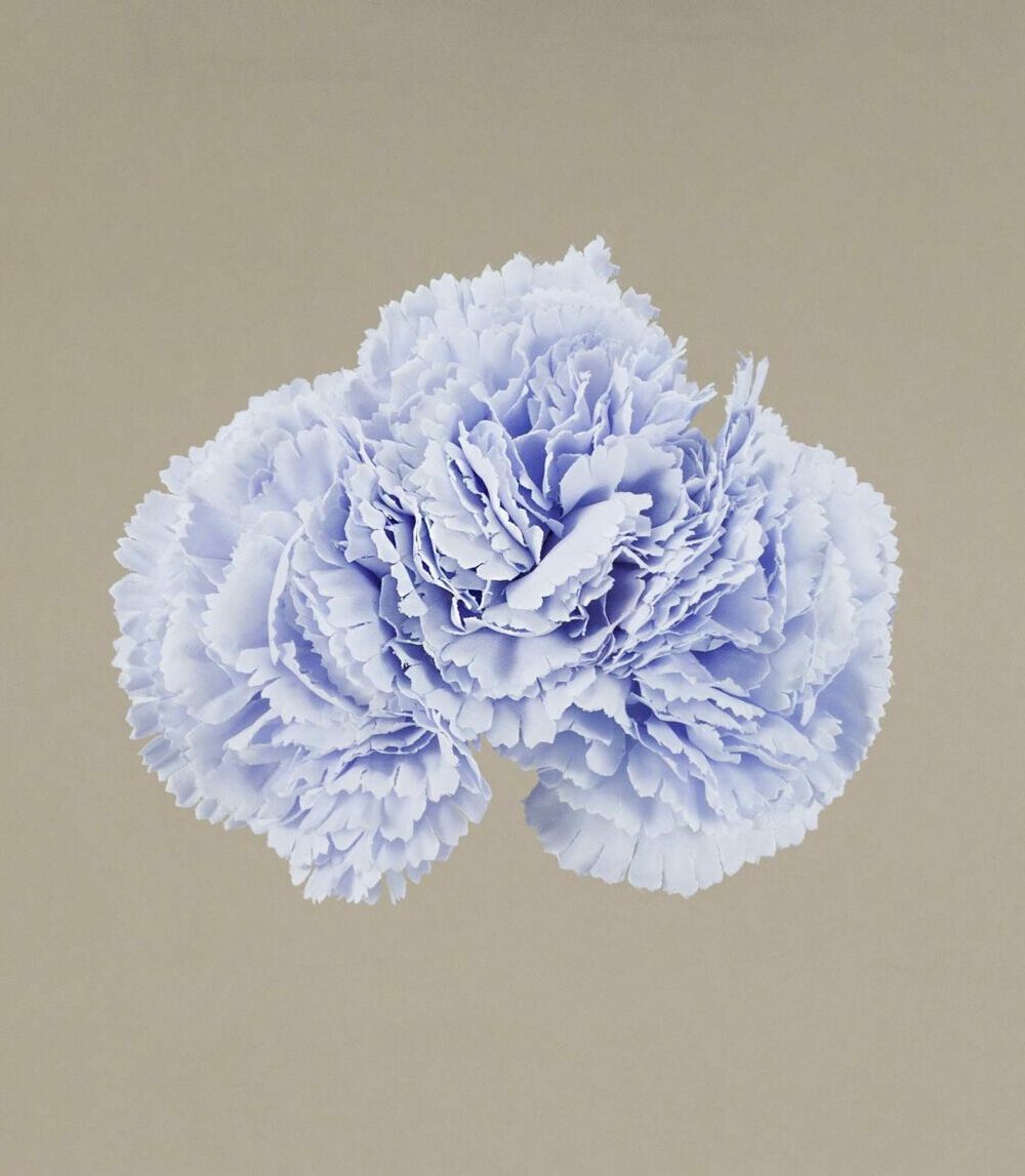 Ramillete claveles pequeños azul bebé