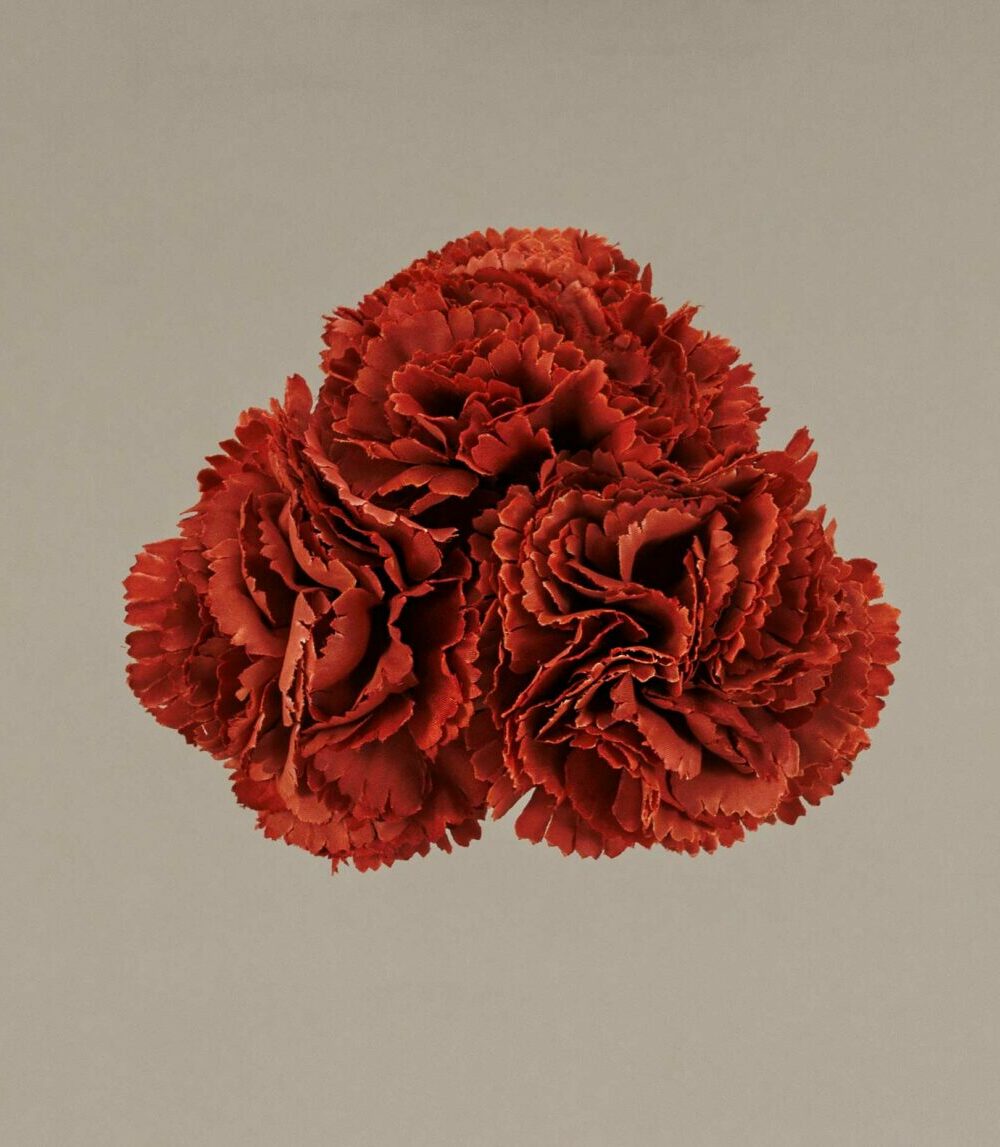 Ramillete claveles pequeños caldera