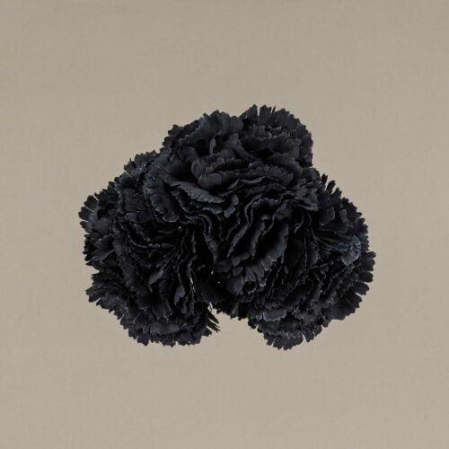 Ramillete claveles pequeños negro