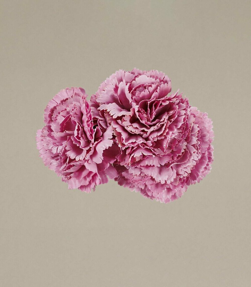 Ramillete claveles pequeños rosa palo