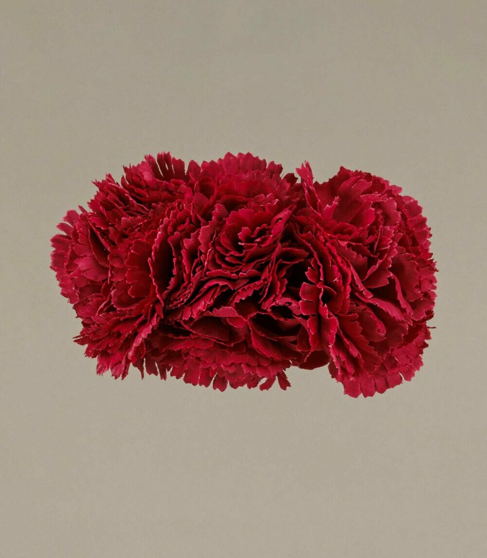 Ramillete claveles pequeños burdeos