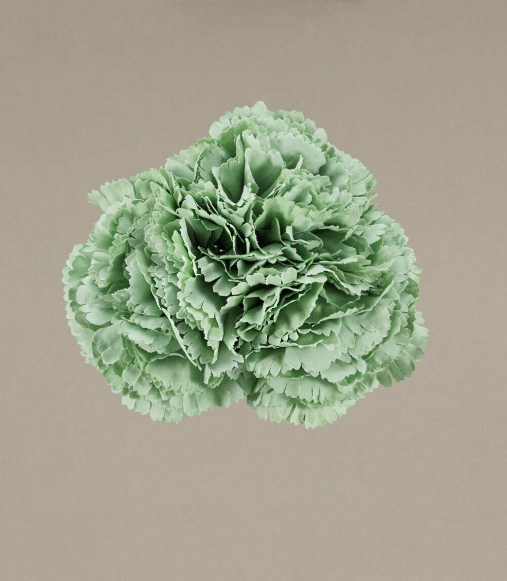 Ramillete Claveles Pequeños verde jabanoso