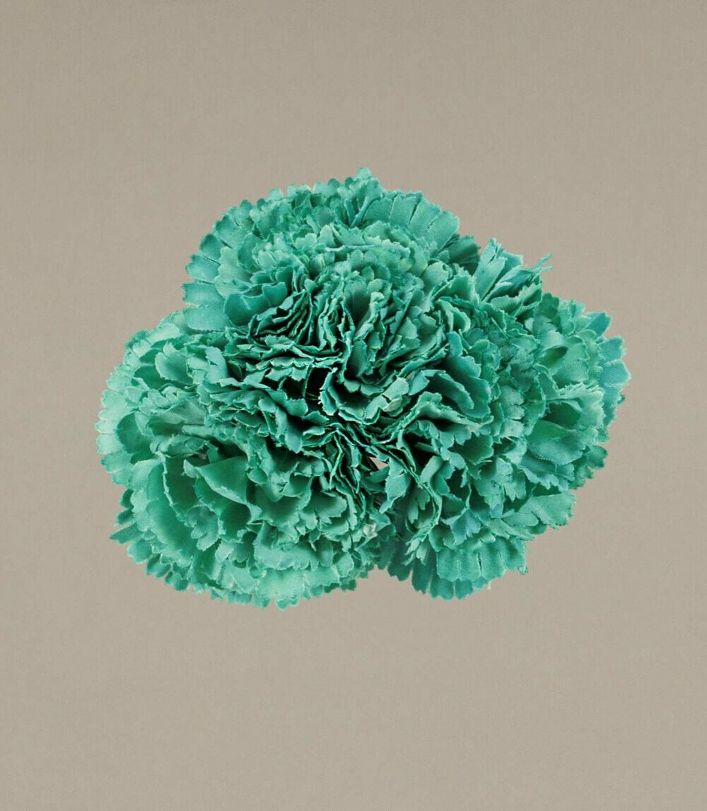 Ramillete claveles pequeños verde menta